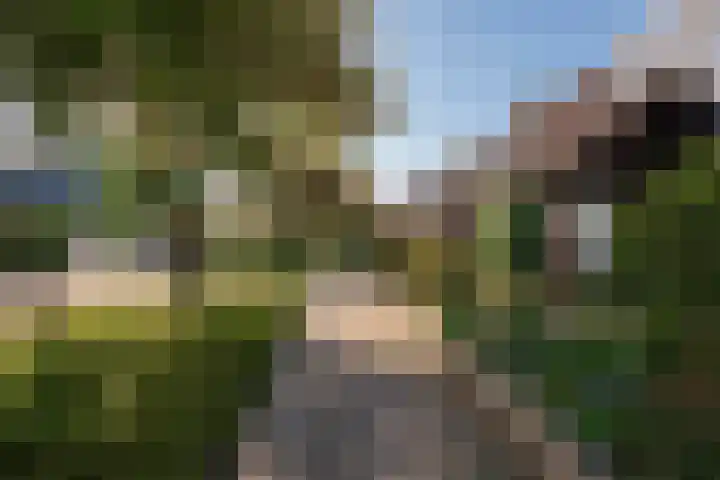 Noteboom 41 Culemborg foto 2