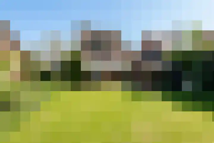 Noteboom 41 Culemborg thumbnail 23