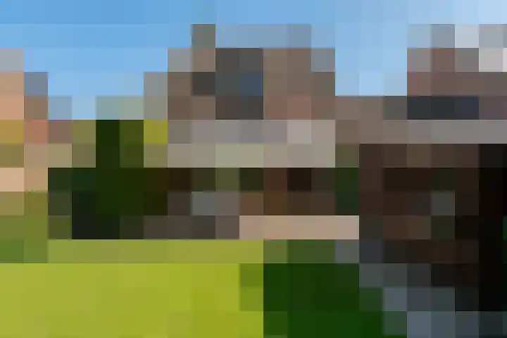 Noteboom 41 Culemborg thumbnail 24