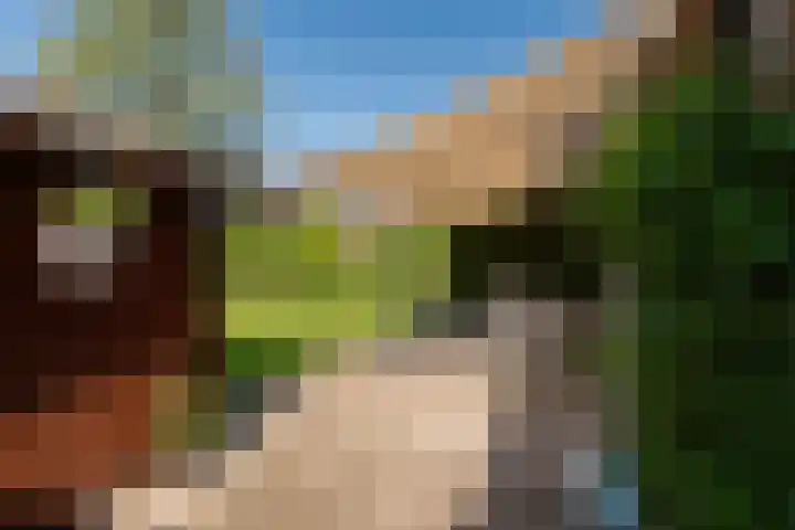 Noteboom 41 Culemborg thumbnail 25