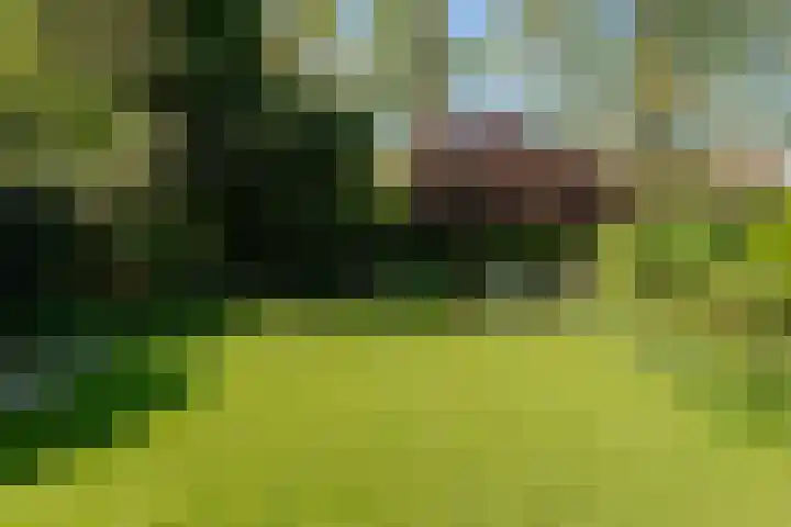 Noteboom 41 Culemborg thumbnail 27