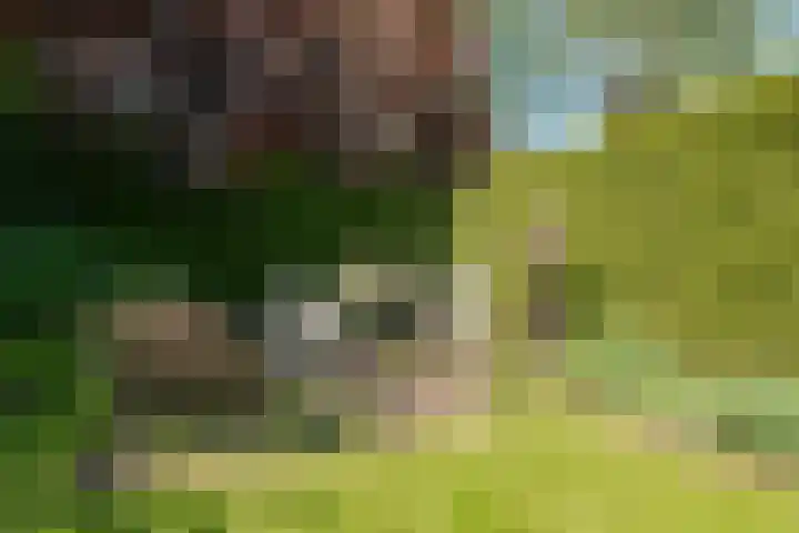 Noteboom 41 Culemborg thumbnail 28