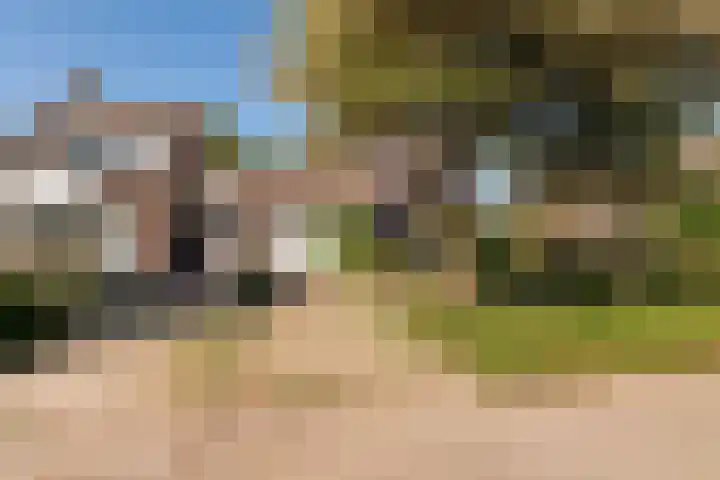 Noteboom 41 Culemborg thumbnail 4