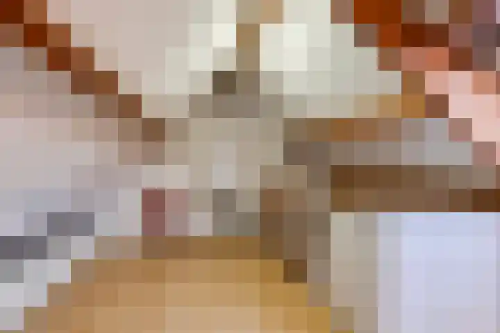 Noteboom 41 Culemborg thumbnail 40