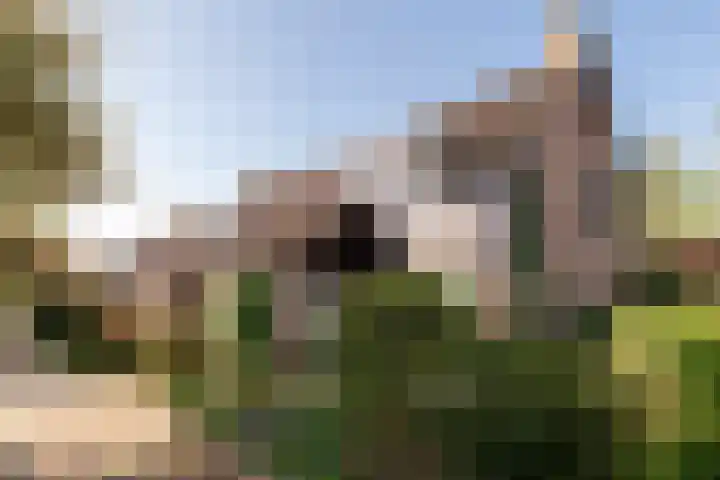 Noteboom 41 Culemborg thumbnail 43