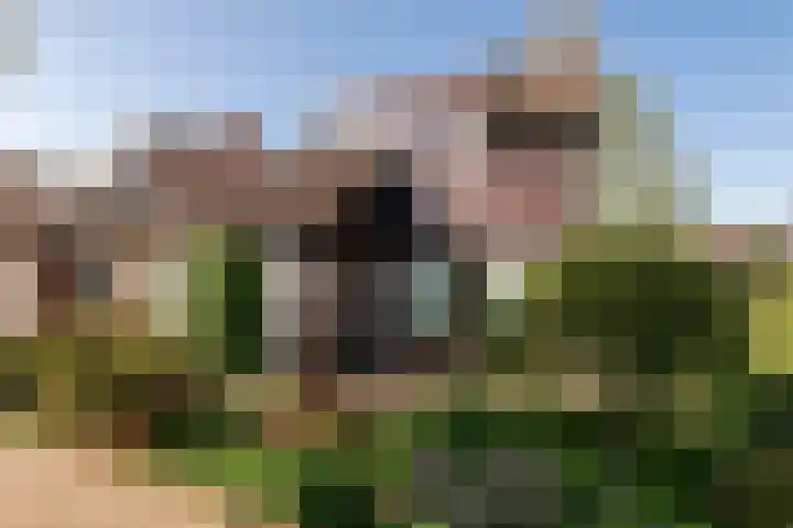 Noteboom 41 Culemborg thumbnail 44