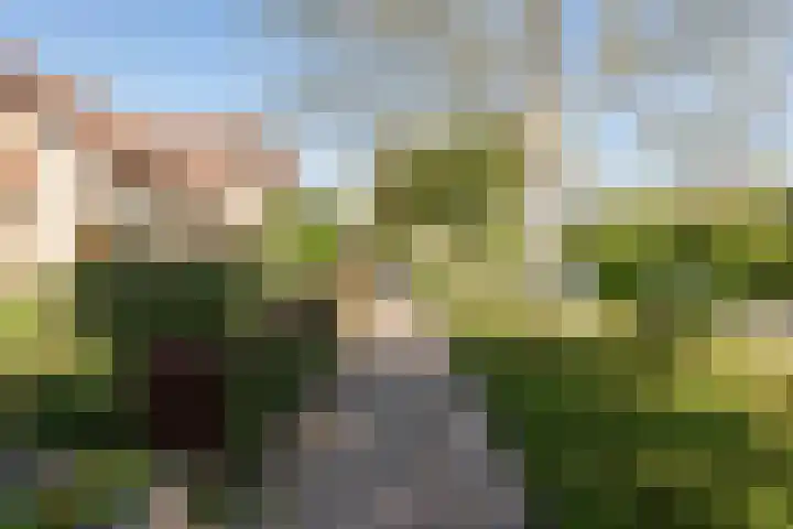 Noteboom 41 Culemborg thumbnail 46