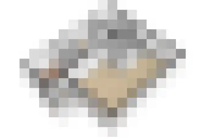 Noteboom 41 Culemborg thumbnail 49