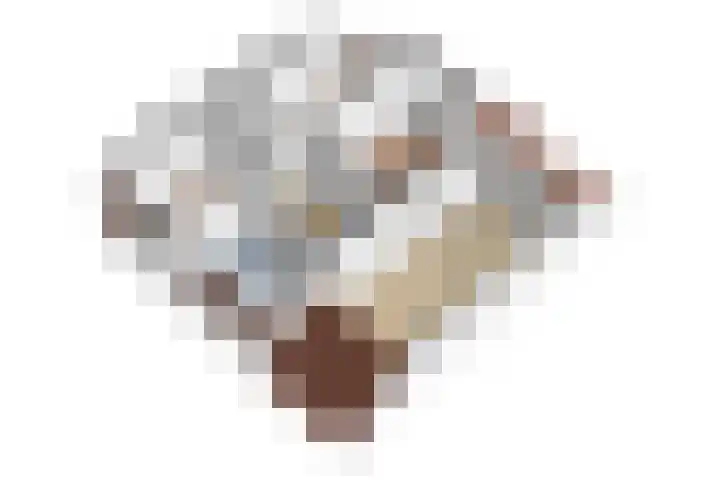 Noteboom 41 Culemborg thumbnail 51