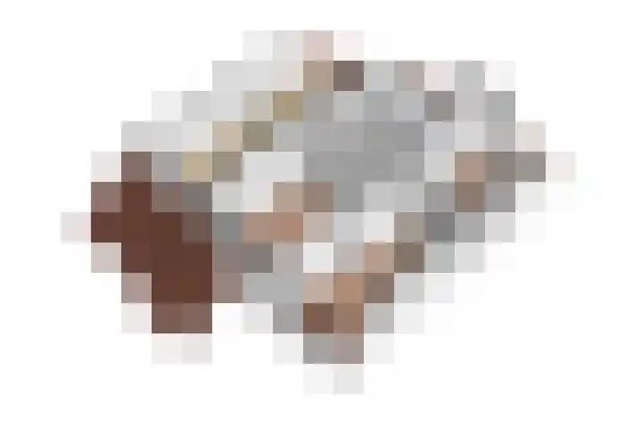 Noteboom 41 Culemborg thumbnail 52