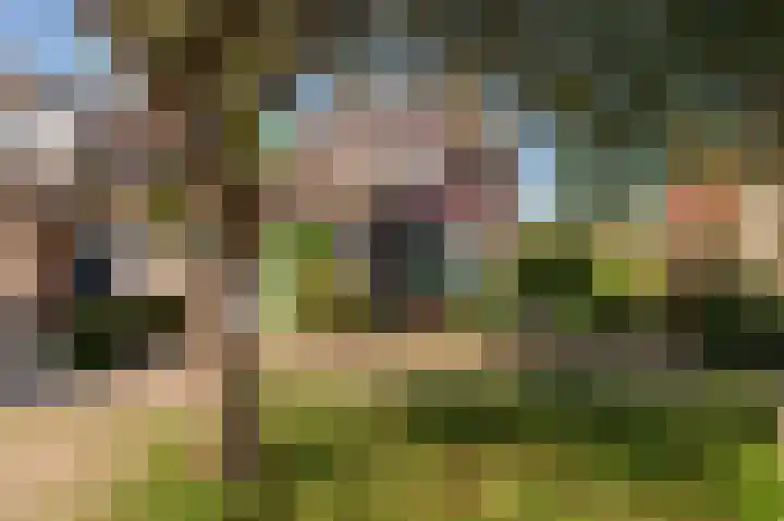 Noteboom 41 Culemborg thumbnail 59