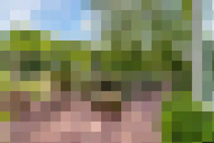 Noteboompark 1 Voorburg thumbnail 19