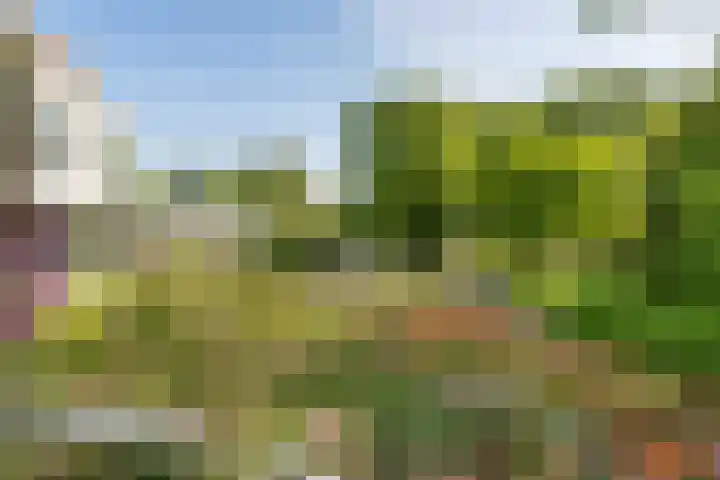 Noteboompark 1 Voorburg thumbnail 28
