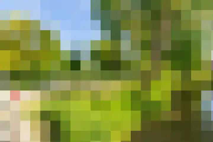 Noteboompark 1 Voorburg thumbnail 31