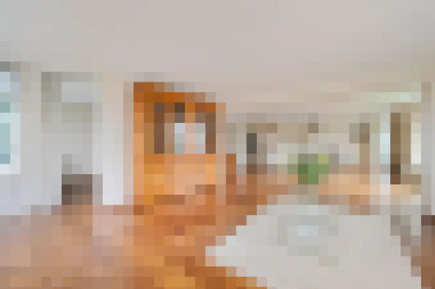 Noteboompark 103 Voorburg thumbnail 19