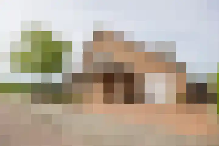 Notendreef 4 Arkel