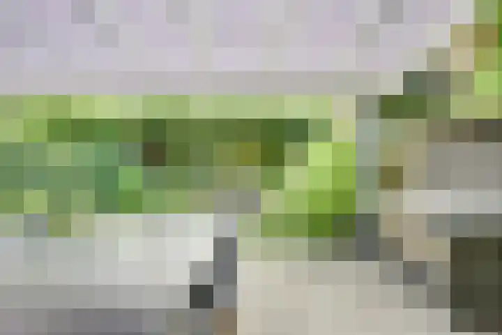 Notengaard 5 Doorn thumbnail 14
