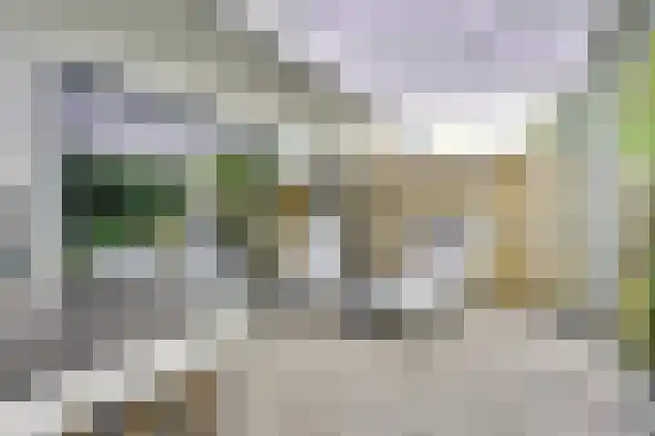 Notengaard 5 Doorn thumbnail 15