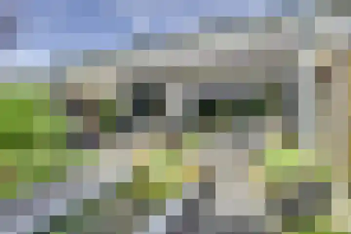 Notengaard 5 Doorn thumbnail 16