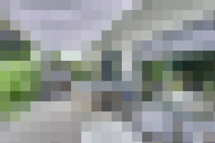 Notengaard 5 Doorn thumbnail 17