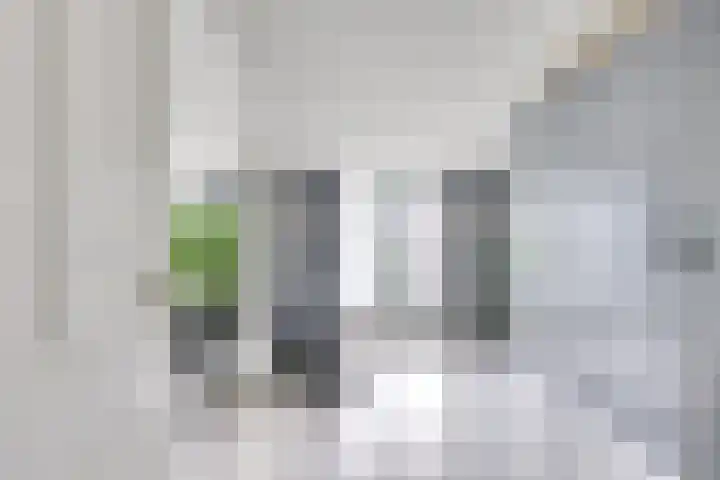 Notengaard 5 Doorn thumbnail 26