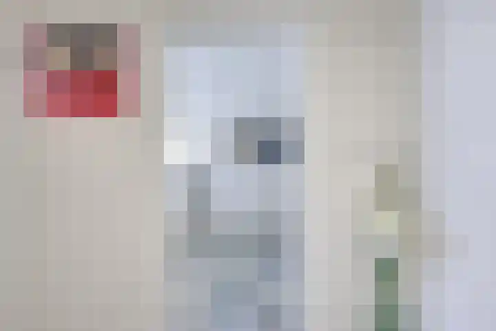 Notengaard 5 Doorn thumbnail 4
