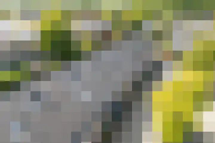 Notengaard 5 Doorn thumbnail 40