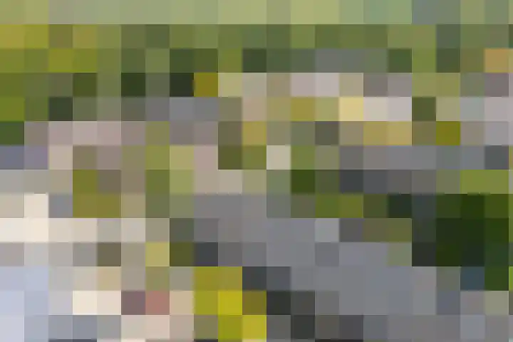 Notengaard 5 Doorn thumbnail 41