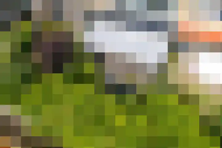 Notengaard 5 Doorn thumbnail 43