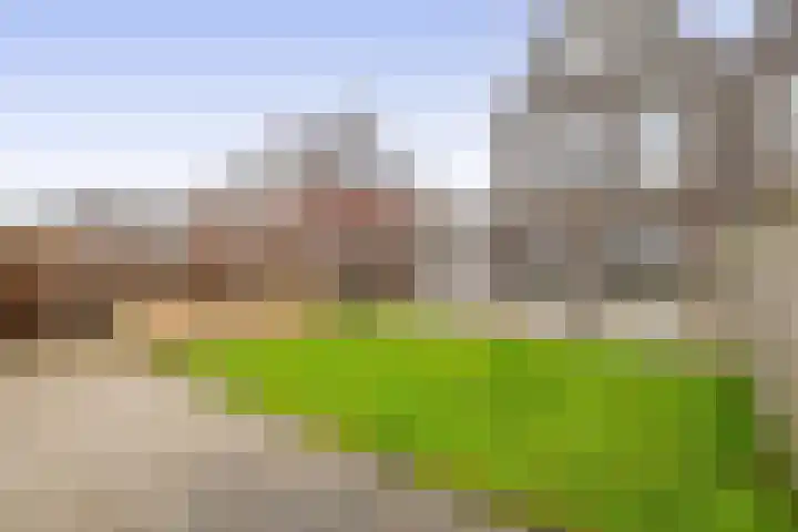 Notenlaan 14 Dirksland thumbnail 28