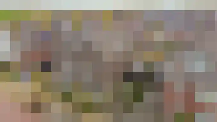 Notenlaan 14 Dirksland thumbnail 31