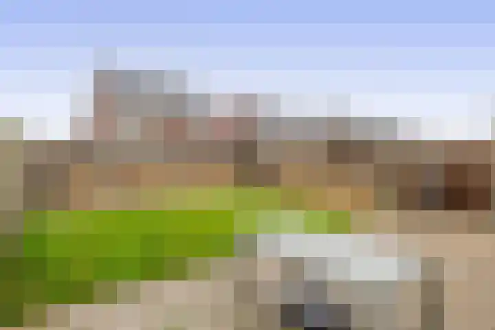 Notenlaan 14 Dirksland thumbnail 4