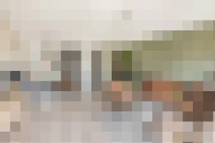 Notenlaan 14 Dirksland thumbnail 8