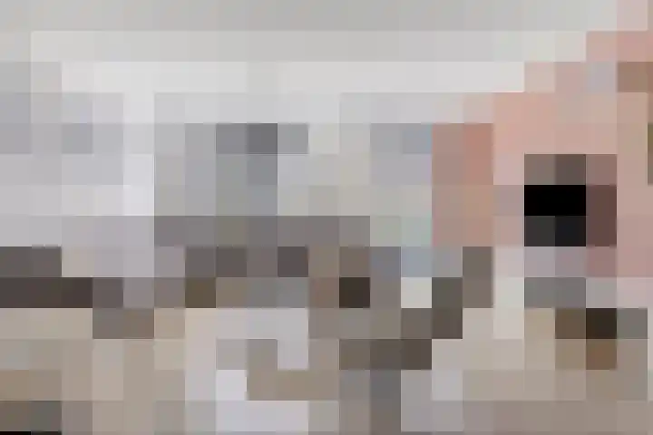 Notenlaan 7 Dirksland thumbnail 10