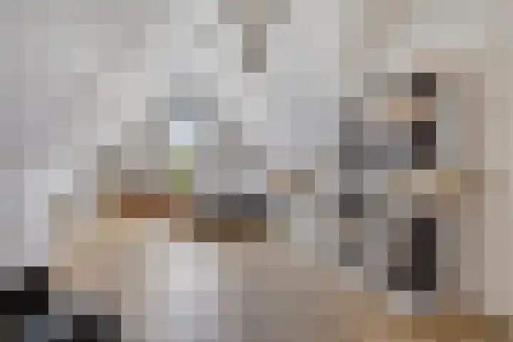 Notenlaan 7 Dirksland thumbnail 36