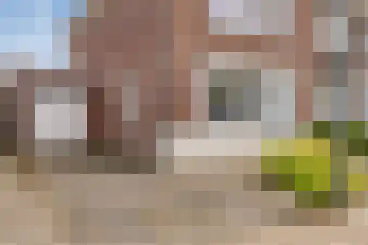 Notenlaan 7 Dirksland thumbnail 6
