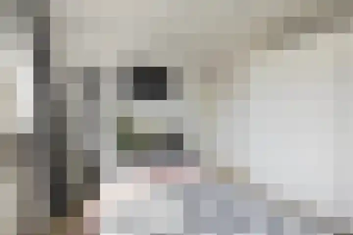 Notenstraat 12 Doesburg thumbnail 10