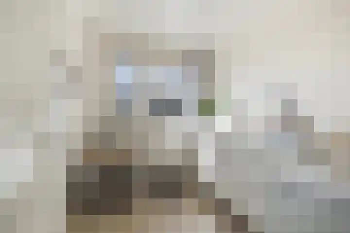 Notenstraat 12 Doesburg thumbnail 16