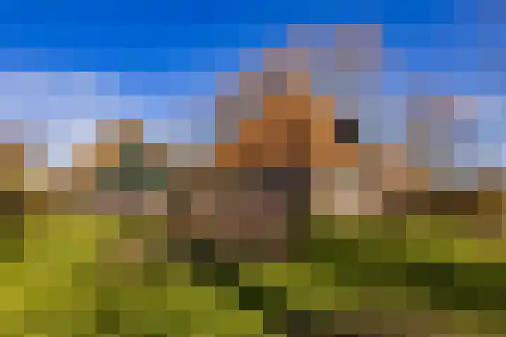 Notweg 2 Oterleek thumbnail 10