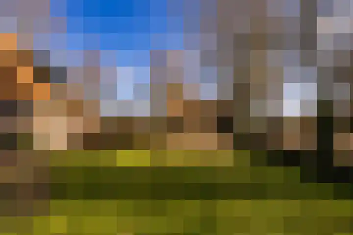 Notweg 2 Oterleek thumbnail 11