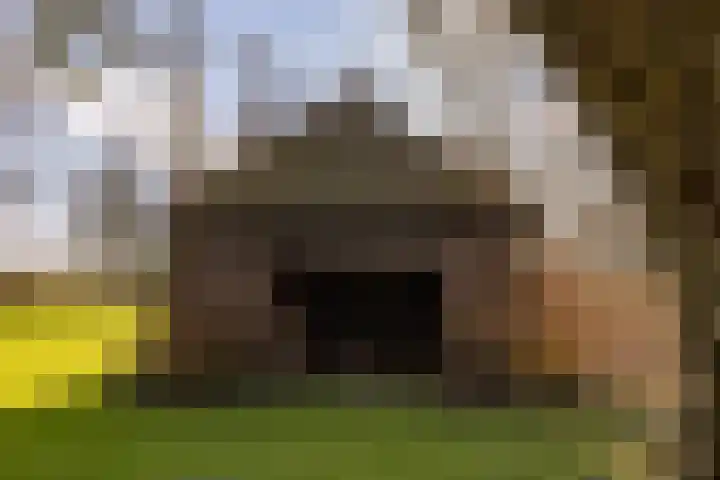Notweg 2 Oterleek thumbnail 13