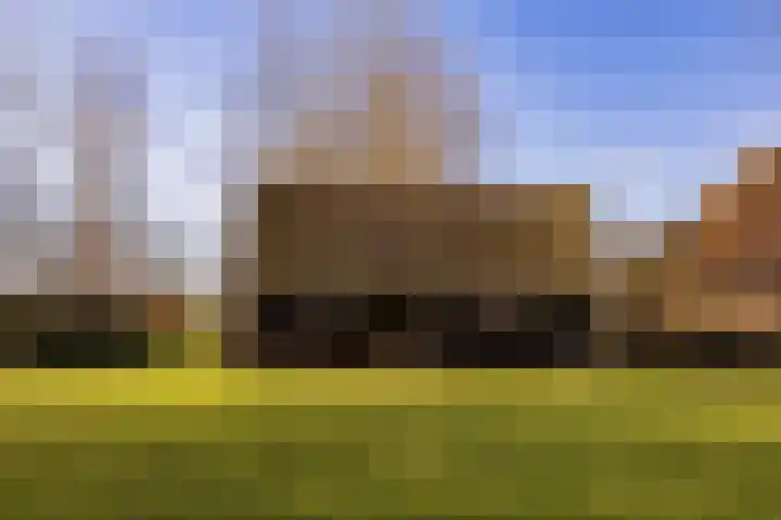 Notweg 2 Oterleek thumbnail 14