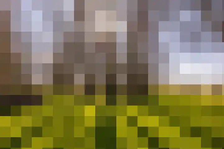 Notweg 2 Oterleek thumbnail 15
