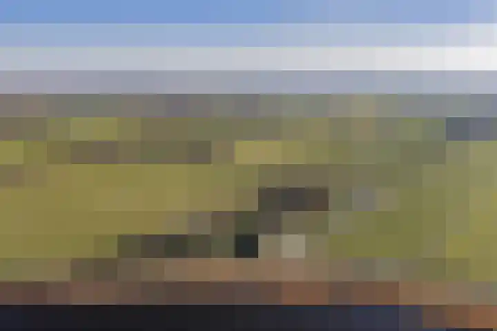 Notweg 2 Oterleek thumbnail 21