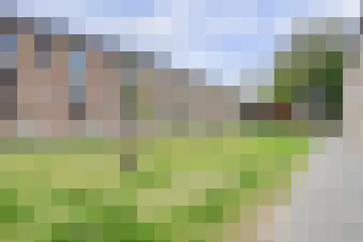 Nova Zemblastraat 10 Breda thumbnail 8
