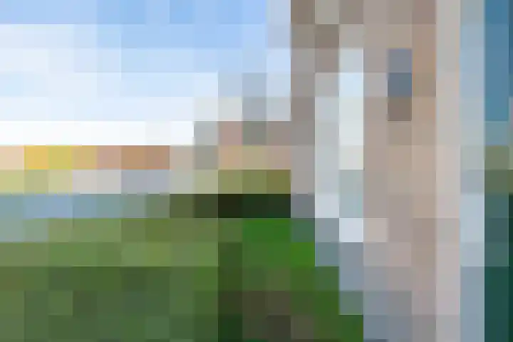 Nova Zemblastraat 10 Breda thumbnail 9