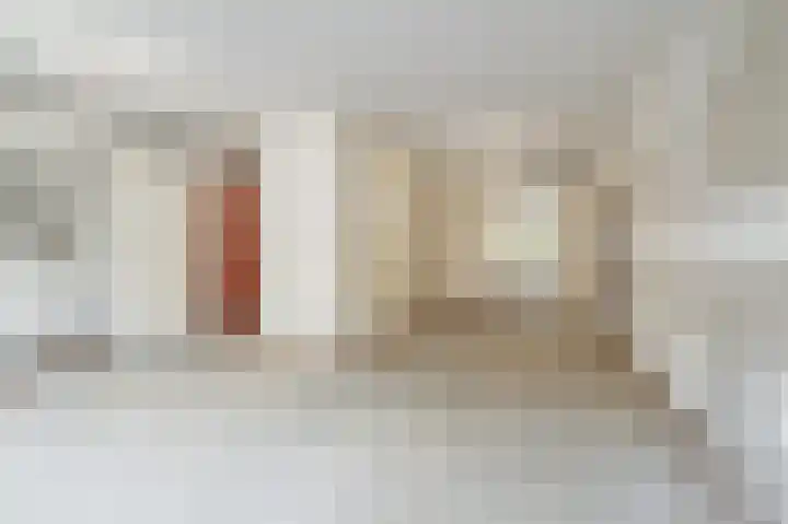 Nova Zemblastraat 201 Amsterdam thumbnail 10