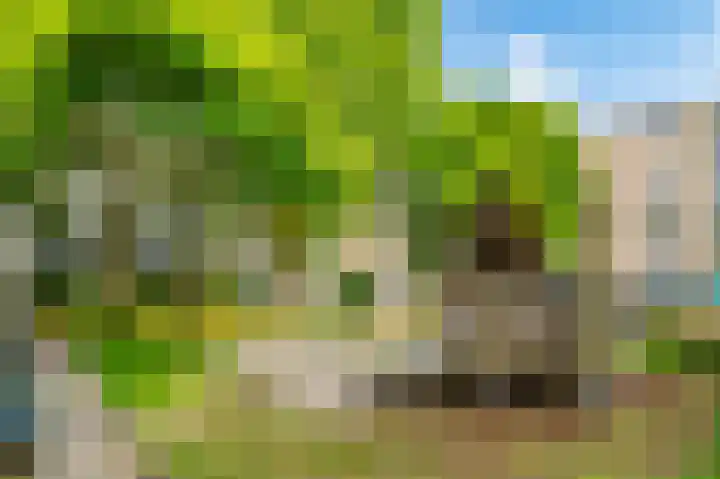 Nova Zemblastraat 201 Amsterdam thumbnail 32