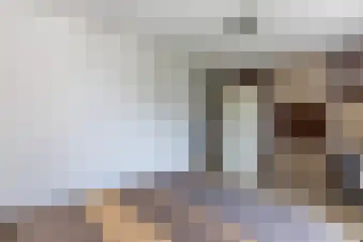 Nova Zemblastraat 241 Amsterdam thumbnail 12