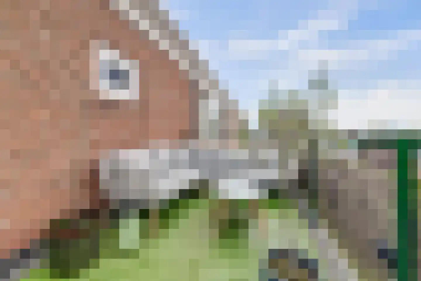 Novalaan 5 Arnhem thumbnail 26